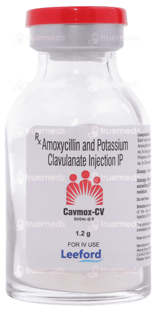 Cavmox Cv Injection 1